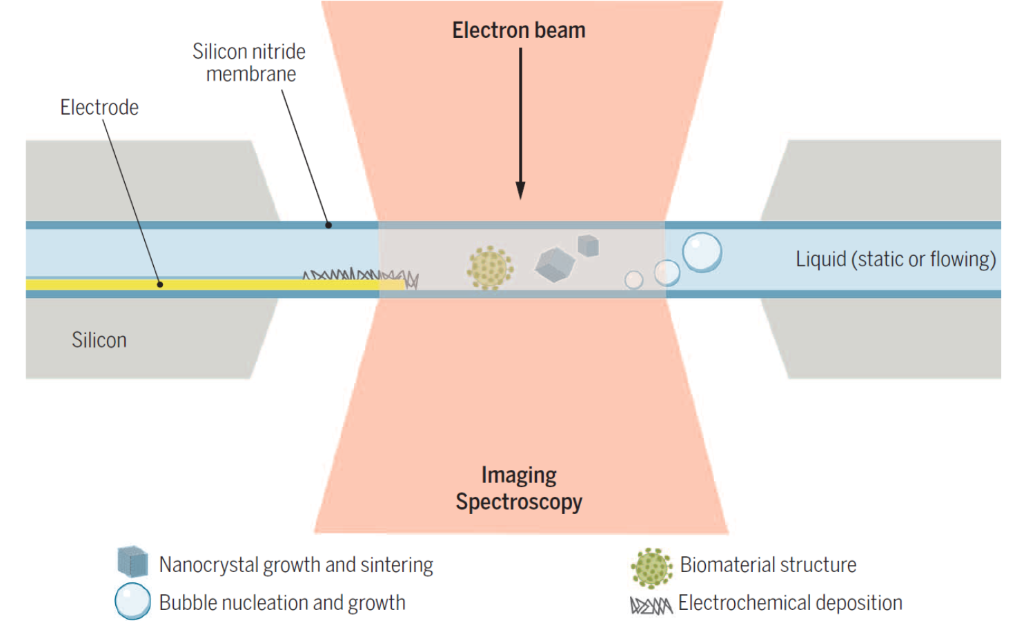 DENS原位液相样品杆