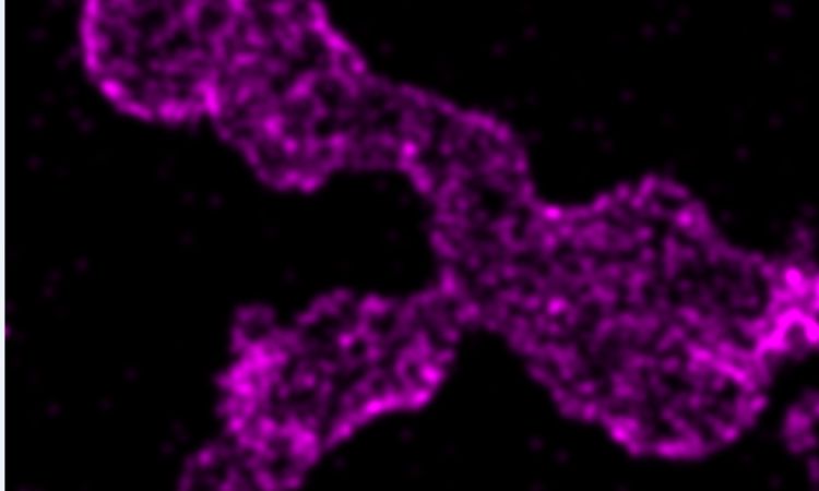 一文了解原子层沉积(ALD)技术的原理与特点