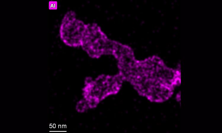 原子层沉积(ALD)技术在锂电材料中的应用(一):电极粉末包覆的必要性(下)