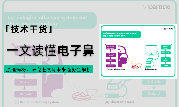 电子鼻商业化瓶颈如何破?VSP 干法纳米打印技术给出答案(上)