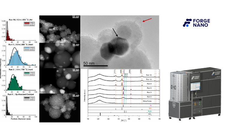 Forge Nano 用户成果｜百克级负载型Ni催化剂的CVD热解沉积及粒径调控