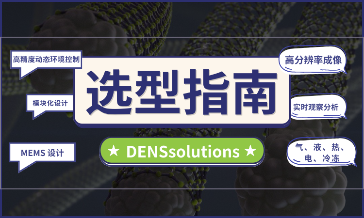 原位 TEM 这么关键,你的样品杆真的选对了吗?