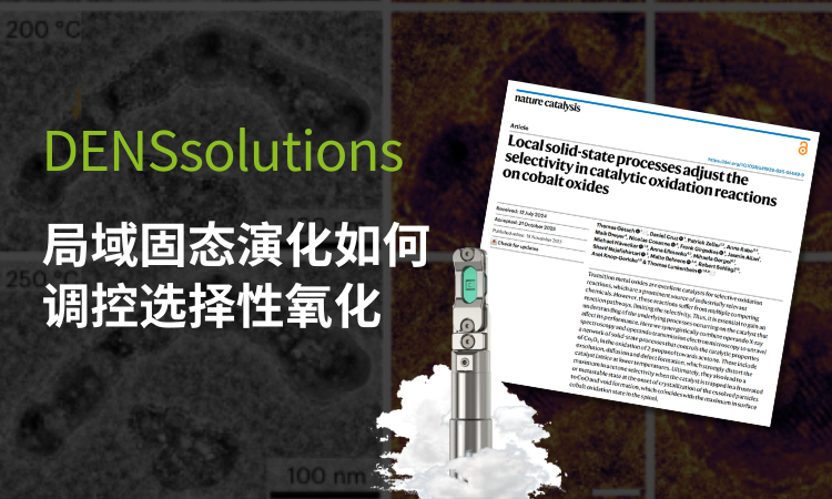 Nature Catalysis最新解析:局域固态演化如何调控选择性氧化?